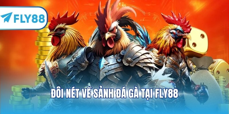 Đôi nét về sảnh đá gà tại FLY88