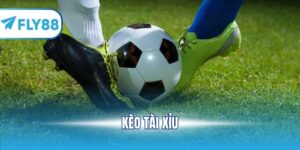 kèo tài xỉu